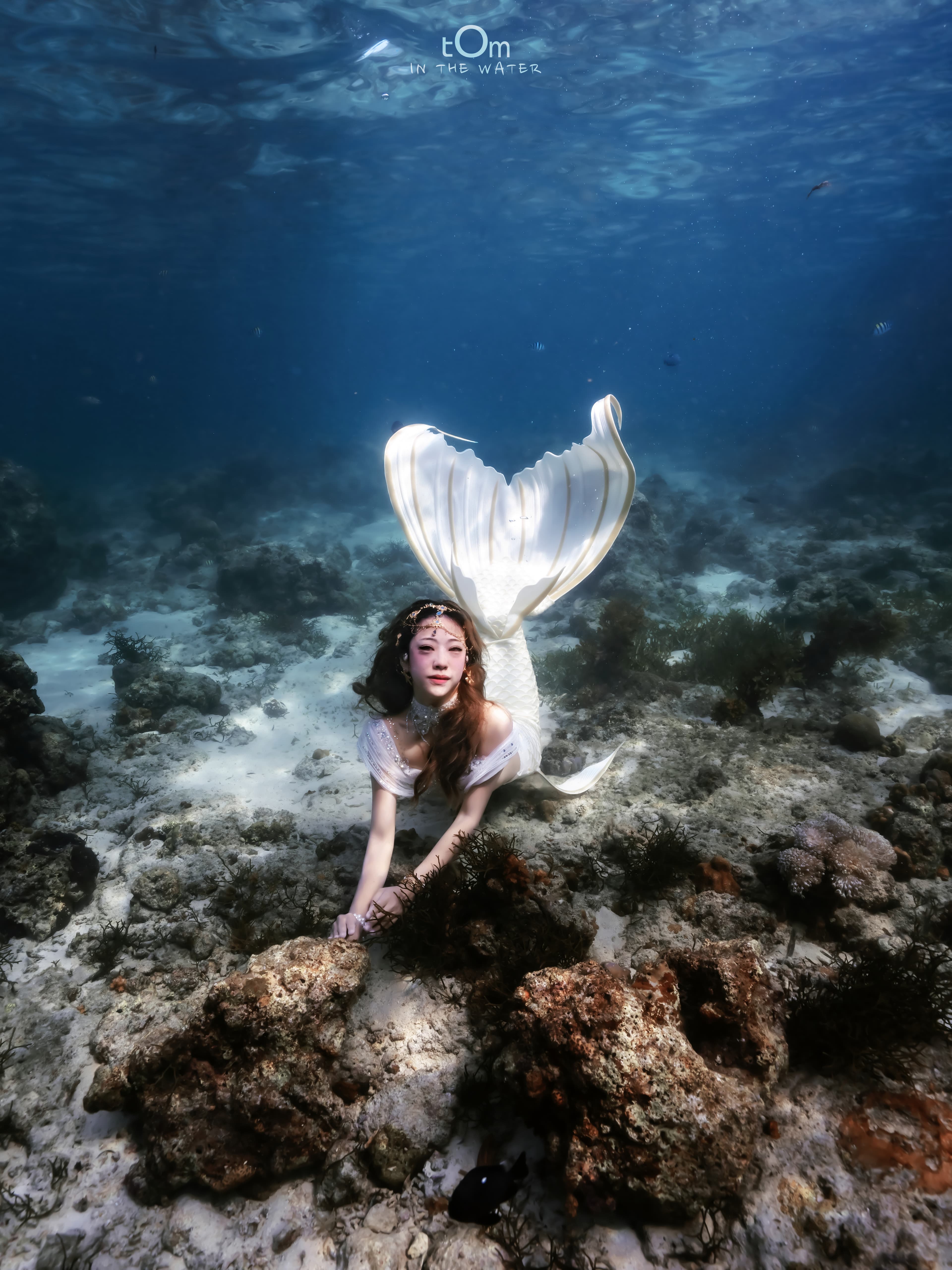 Mermaid in Cebu