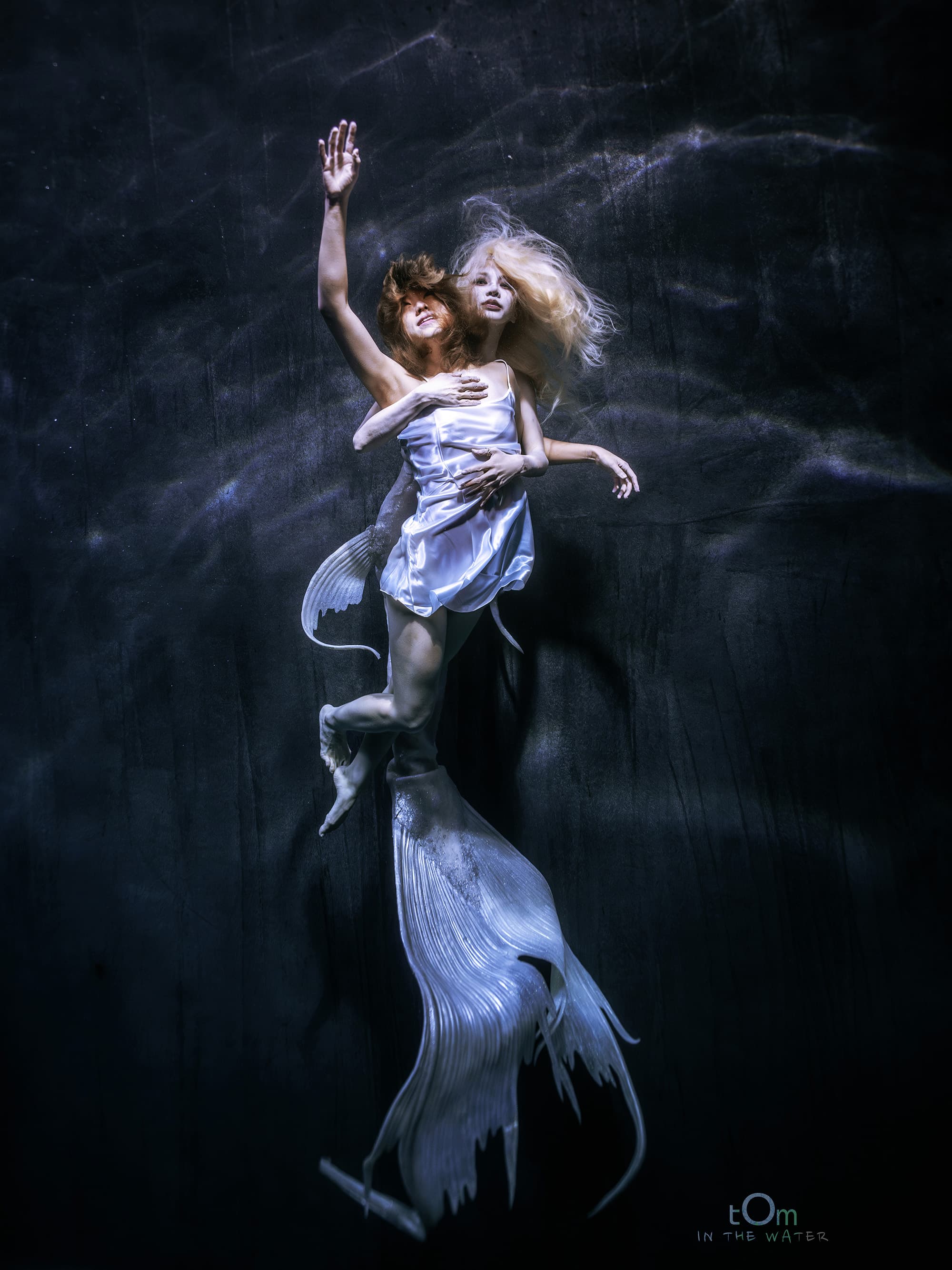 TEMPTATION OF SIREN, 2026